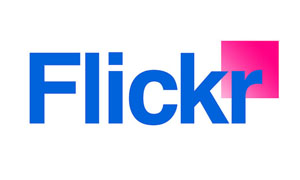 The Working Horse Trust